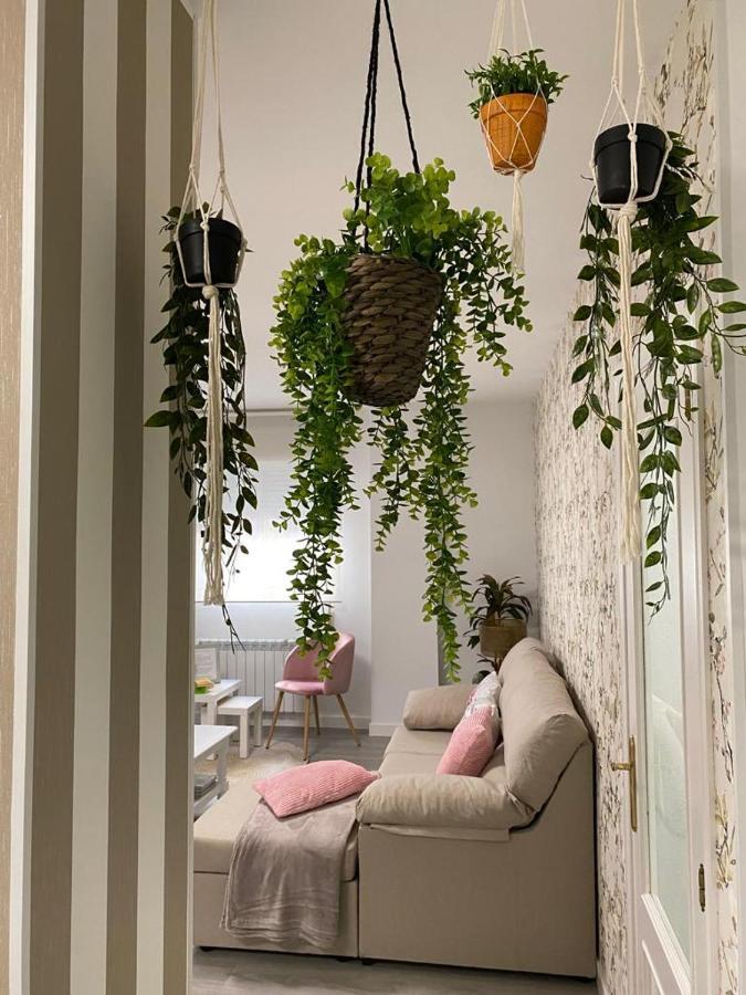 Apartamento Aire de Sanabria Puebla Puebla de Sanabria Exterior foto